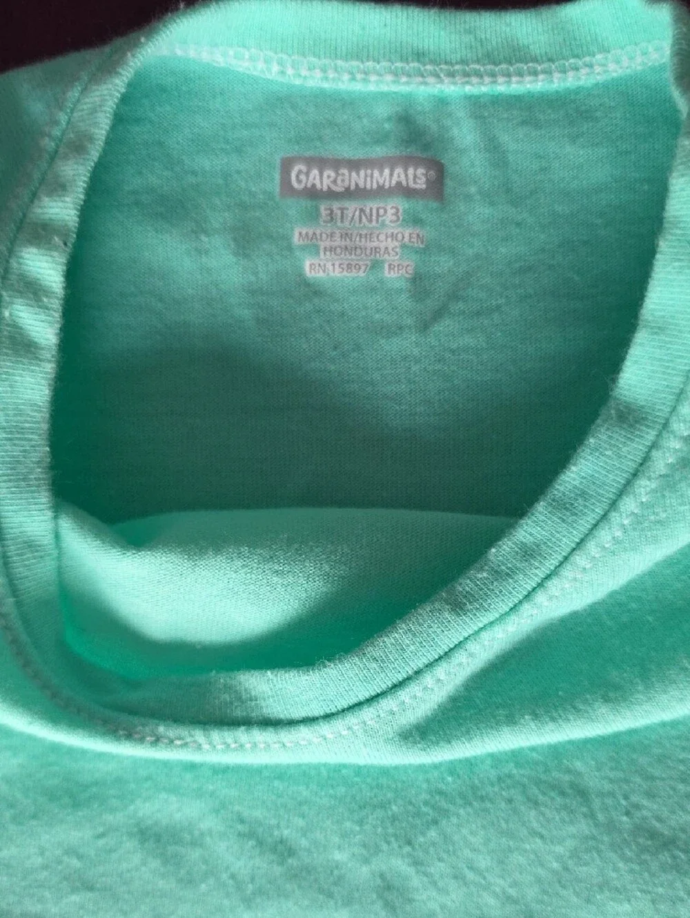 The Children's Place Long-Sleeve Tee in Mint